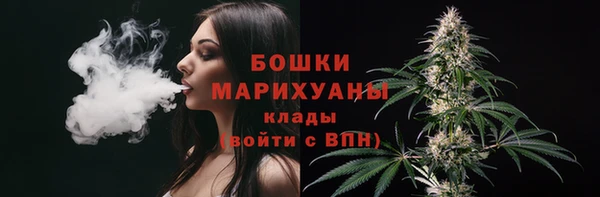 сатива Нефтегорск