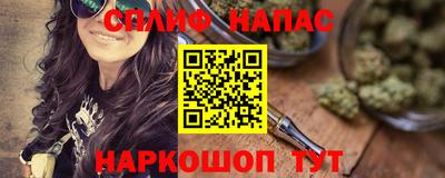 прущие грибы Славянск-на-Кубани