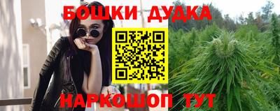 прущие грибы Славянск-на-Кубани