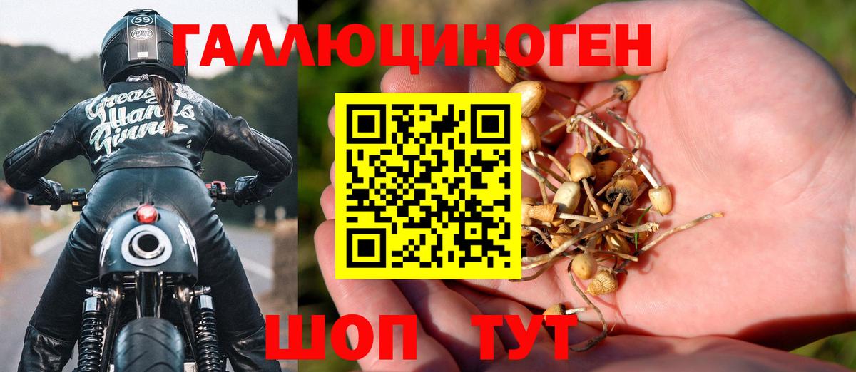 Галлюциногенные грибы прущие грибы Невинномысск